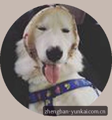 周宇
